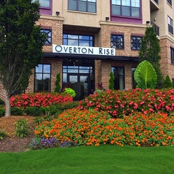 Image for OVERTON RISE with ID of: 2175029