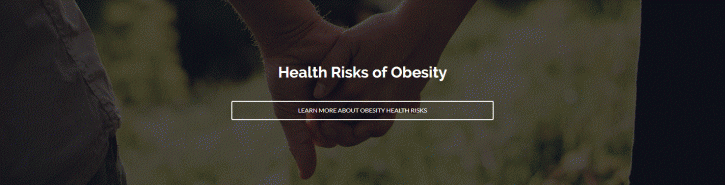 Image for Bariatric Surgery with ID of: 2176175