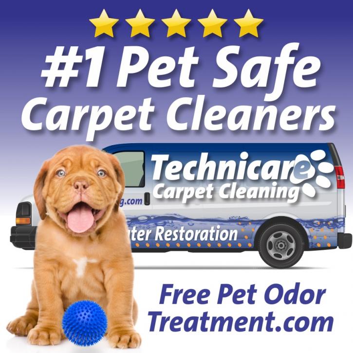 Image for Technicare Carpet Cleaning and more... with ID of: 2176516