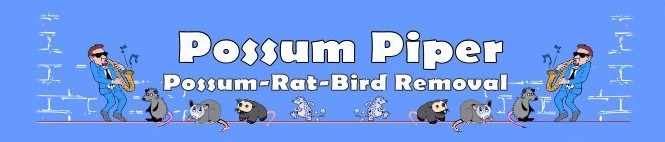Image for Possum Piper with ID of: 2177475