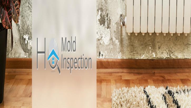 Image for HQ Mold Inspection with ID of: 2177588