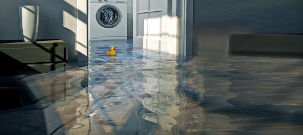 Image for Beehive Plumbing with ID of: 2177901