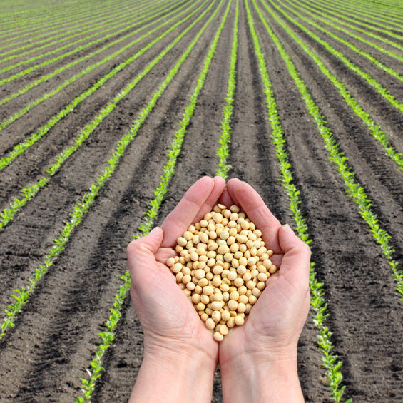 Image for Davis Feed & Farm Supply with ID of: 2181051