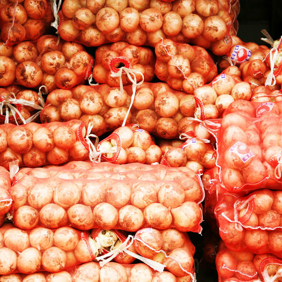 Image for Davis Feed & Farm Supply with ID of: 2181052