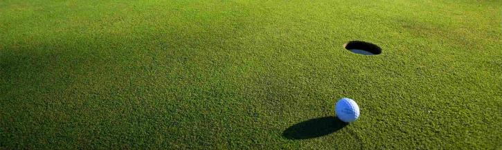 Image for Perfect Golf Event with ID of: 2182800