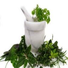 Image for Global Palmetto Extracts Market New Tech Developments 2017 with ID of: 2183076