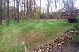 Image for Columbia Tree & Lawn Service with ID of: 2186402
