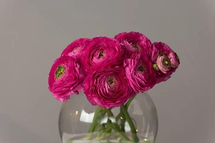 Image for boutique liliane with ID of: 2189748