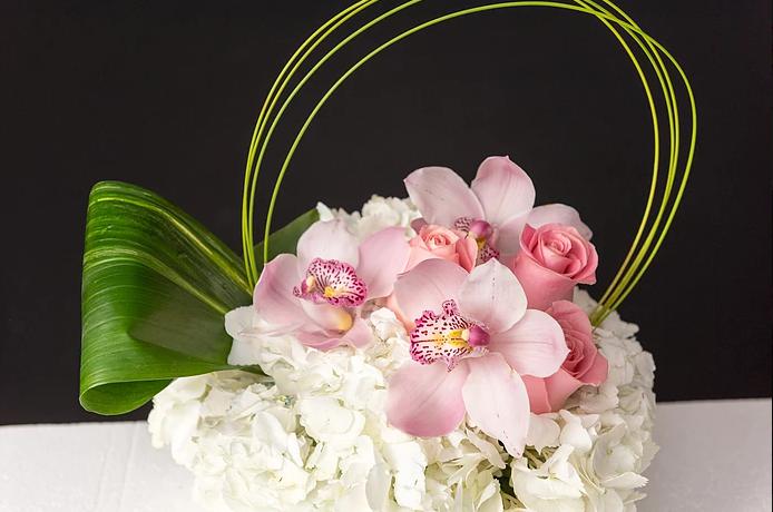 Image for boutique liliane with ID of: 2189752