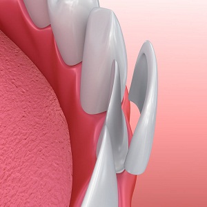 Image for Magnolia Dental with ID of: 2189963