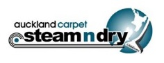 Image for Steam n Dry with ID of: 2190846