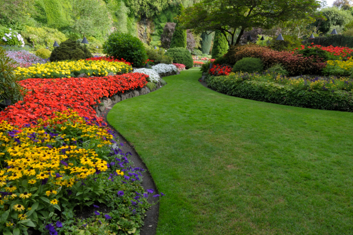 Image for Evolution Landscaping with ID of: 2192210