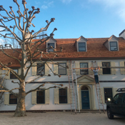 Image for Roof Repair and Replacement with ID of: 2192449
