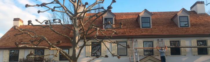 Image for Roof Repair and Replacement with ID of: 2192456