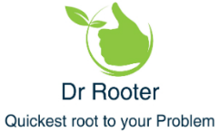 Image for Dr Rooter Lexington with ID of: 2194638