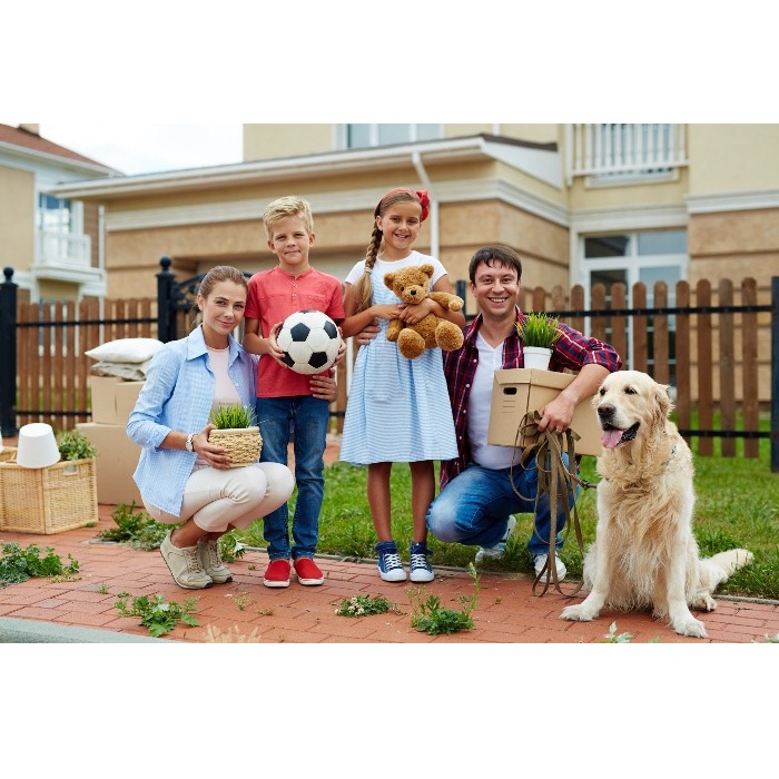 Image for D2D Movers Orlando with ID of: 2196271