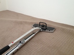 Image for A Plus Carpet Cleaning Pros with ID of: 2196575