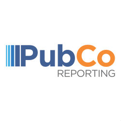 Image for PubCo Reporting Solutions, Inc. with ID of: 2197071