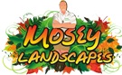 Image for Mosey Landscapes with ID of: 2201624