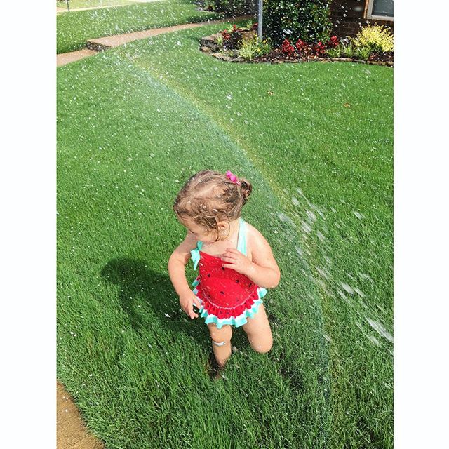 Image for BeautyLawn Spray, Inc. with ID of: 2201741