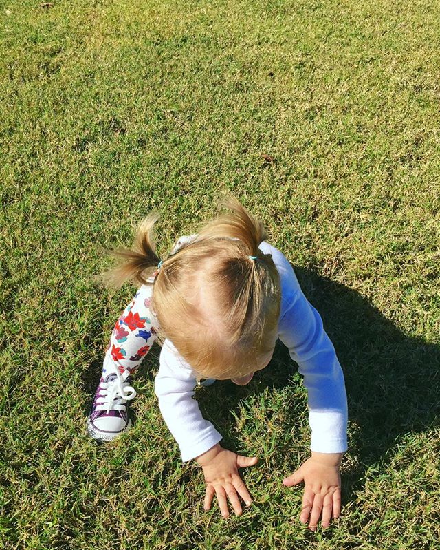 Image for BeautyLawn Spray, Inc. with ID of: 2201744