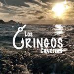 Image for Los Gringos Charters with ID of: 2202669
