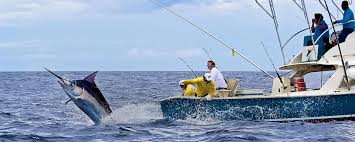 Image for Los Gringos Charters with ID of: 2202673