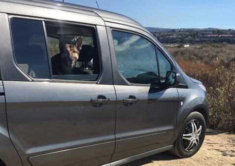 Image for CiaoCiao PetCare with ID of: 2203156