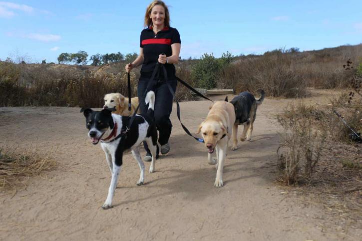 Image for CiaoCiao PetCare with ID of: 2203169