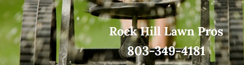 Image for Rock Hill Lawn Pros with ID of: 2203330