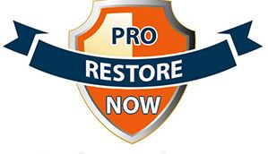 Image for Pro Restore Now with ID of: 2203591
