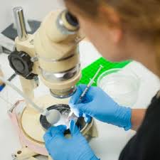 Image for Global Medical Cyclotron Market Technology, Outlook and Significance 2022 with ID of: 2204403