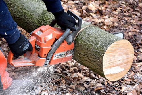 Image for Fayetteville Tree Care Services with ID of: 2205070