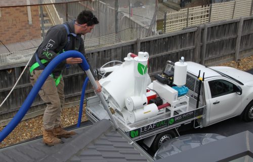 Image for LeafVac with ID of: 2205649