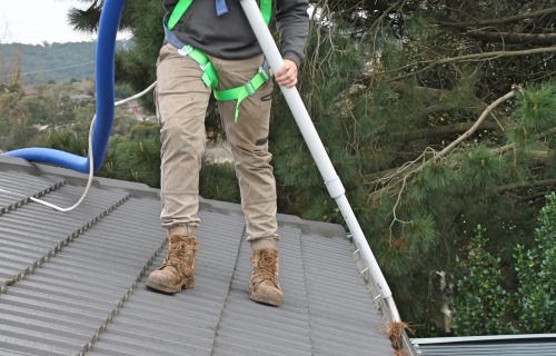 Image for LeafVac with ID of: 2205652