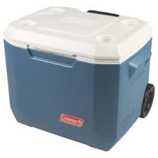 Image for Global Convenient Camping Cooler Market Revenue Predicted to Go Up by 2022 with ID of: 2207218