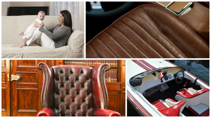 Image for Cobra's Upholstery American Owned with ID of: 2209018