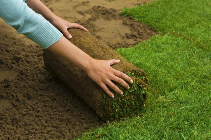 Image for Duluth Landscapers with ID of: 2209394