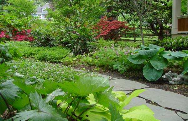 Image for R&S Landscaping with ID of: 2209723