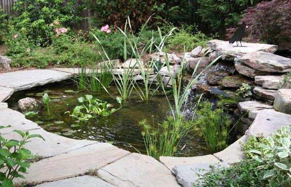 Image for R&S Landscaping with ID of: 2209751