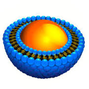 Image for Global Liposomes Drug Delivery Market to Incur Rapid Extension During 2017-2022 with ID of: 2209760