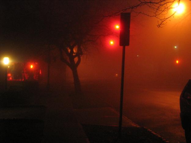 Image for Nocturnes, Montclair  with ID of: 221