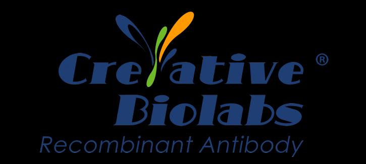 Image for fab fragment by Creative Biolabs with ID of: 2210030