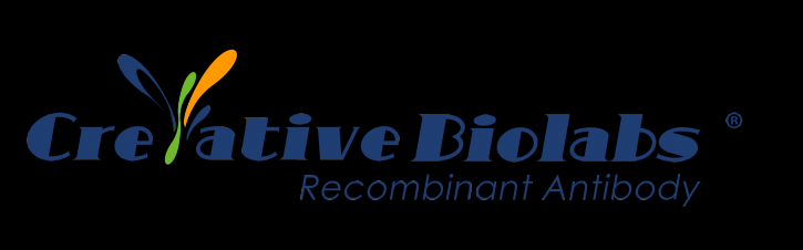 Image for biosimilar monoclonal antibodies by CReative Biolabs with ID of: 2210080