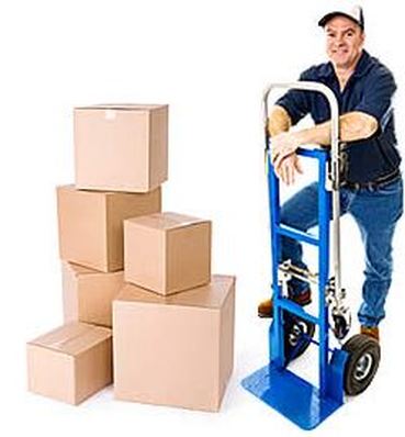 Image for Woodstock Pro Movers with ID of: 2210965