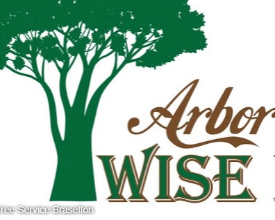 Image for Arborwise, LLC - Professional Tree Removal Services with ID of: 2215863