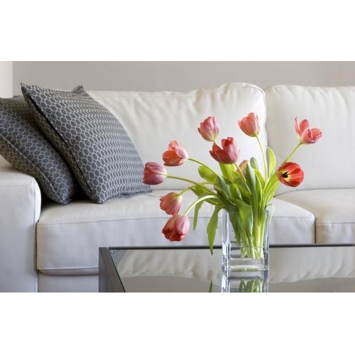 Image for Mims Janitorial Services, LLC with ID of: 2220956