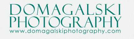 Image for Domagalski Photography with ID of: 2221448