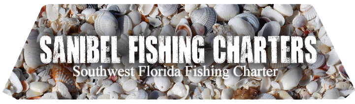 Image for Fishing Charters Sanibel FL with ID of: 2223346