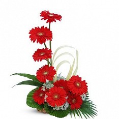 Image for Florist Xpress with ID of: 2224007